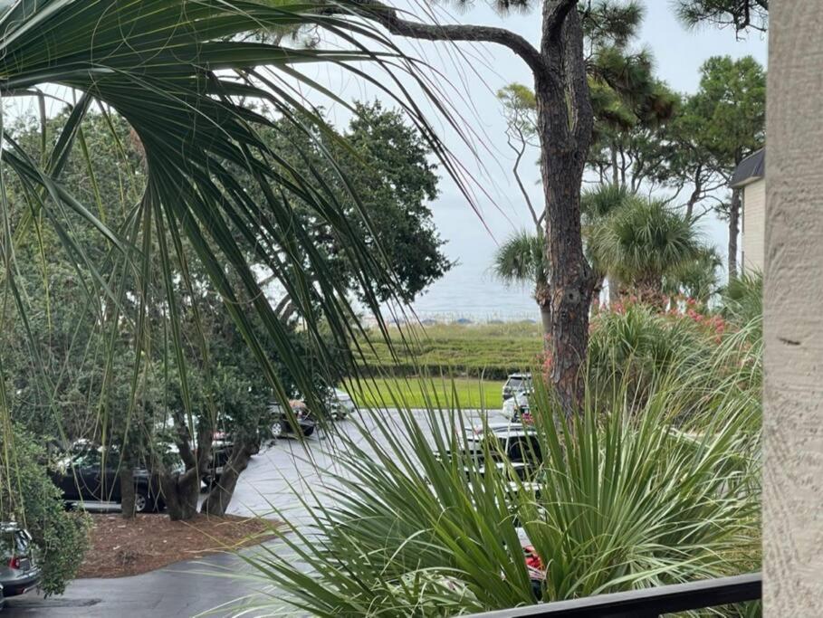 Feelin Tip'Sea-Oceanview Retreat Steps To Beach Île de Hilton-Head Extérieur photo